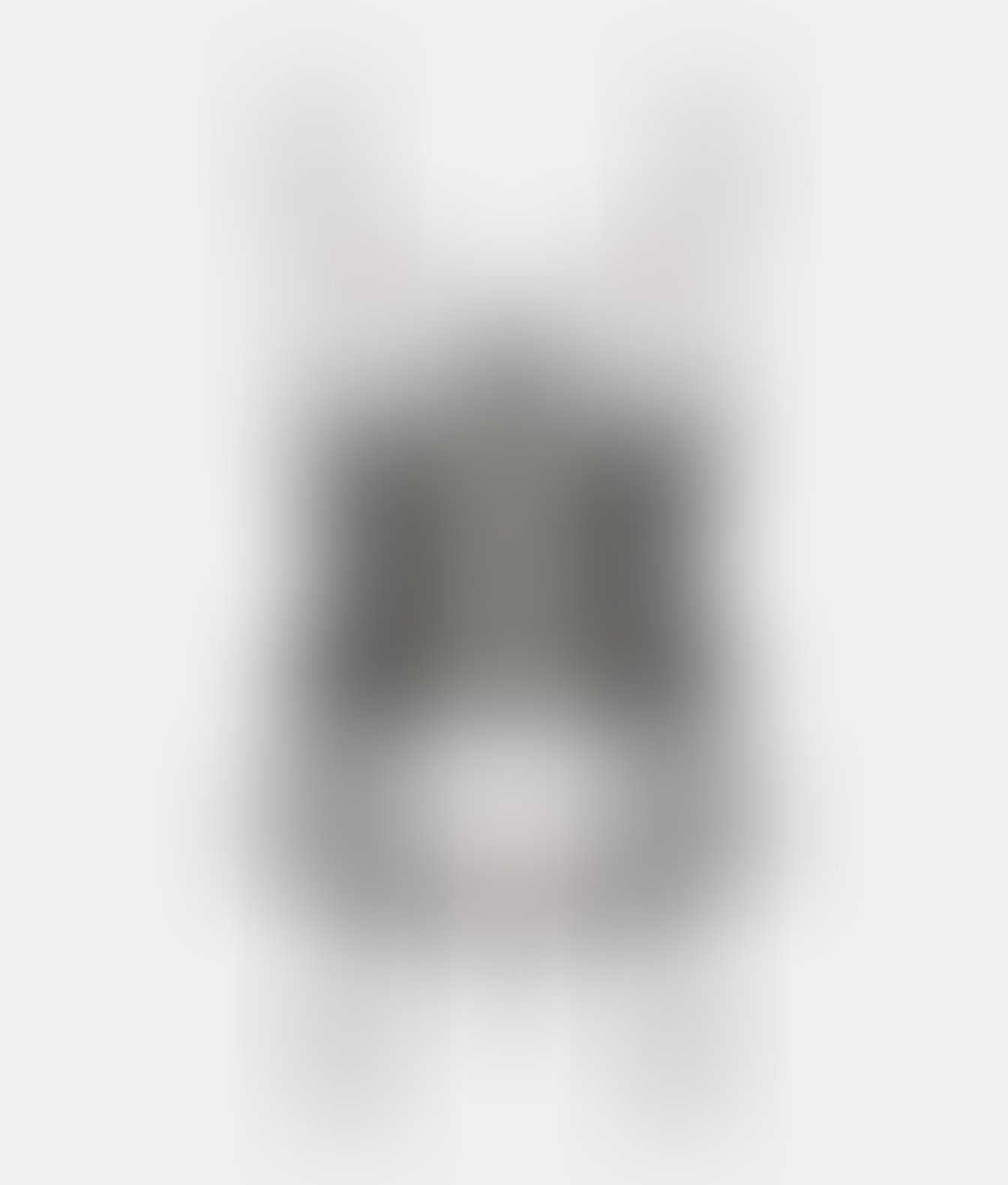 Passion Korzet a tanga heidi