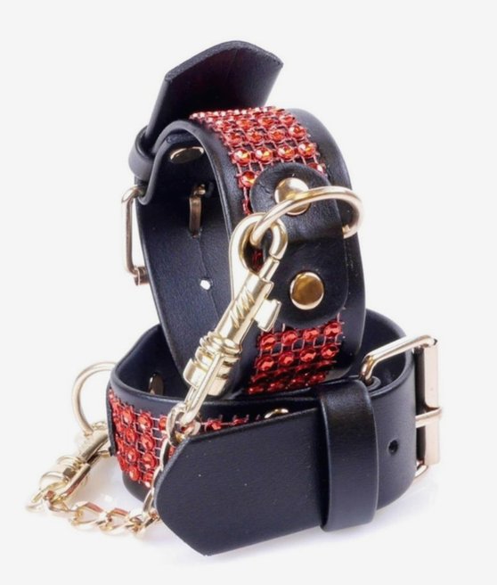 Fetish Boss Series pouta s krystaly 3 cm