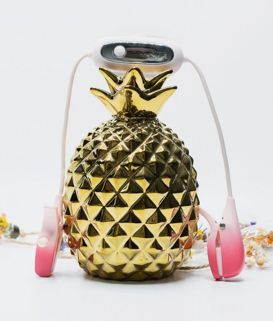 Lovense Gemini AppControlled Vibrating Nipple Clamps